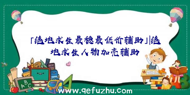 「绝地求生最稳最低价辅助」|绝地求生人物加亮辅助